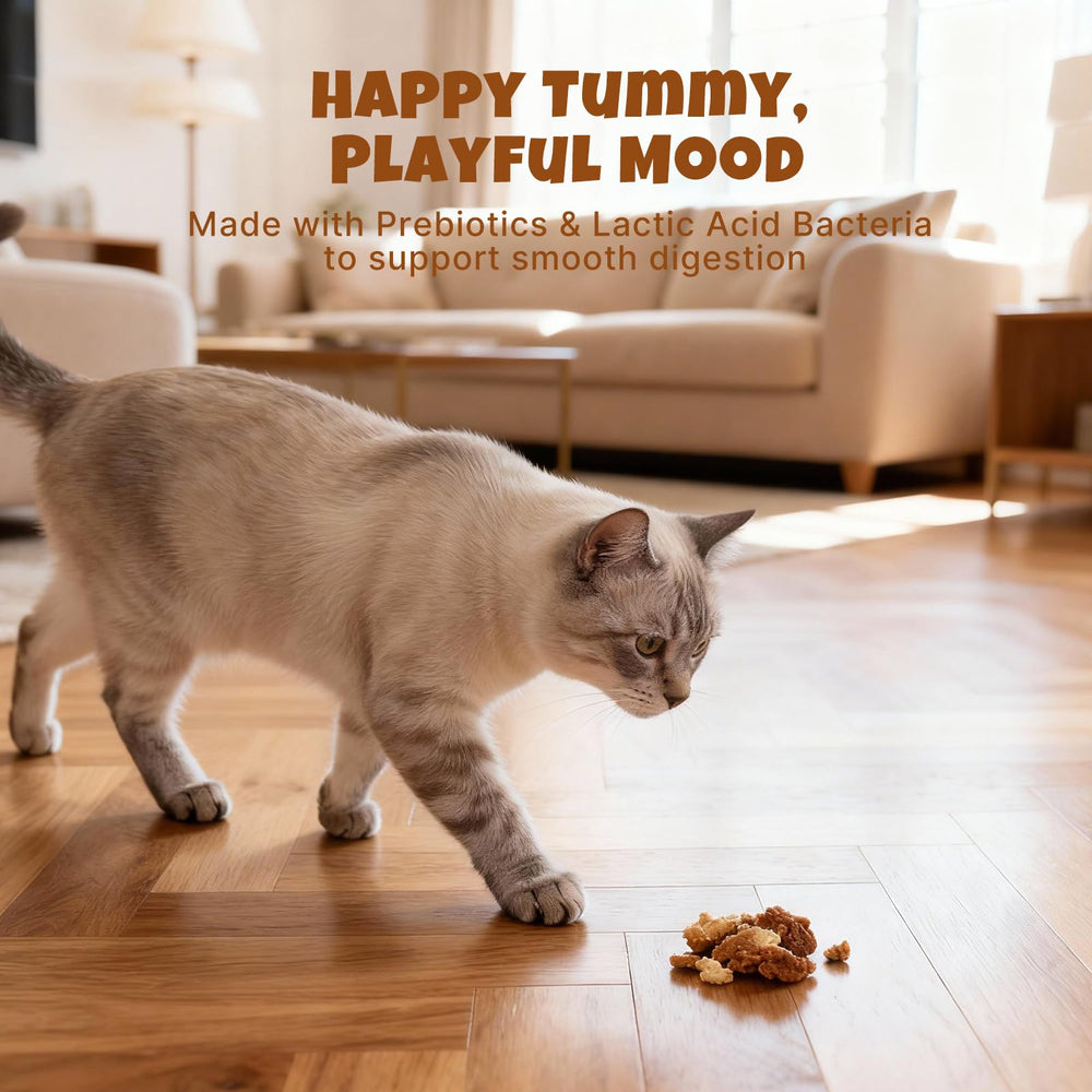Morceaux de cœur de poulet visibles – Havira, nutriments naturels pour chats.