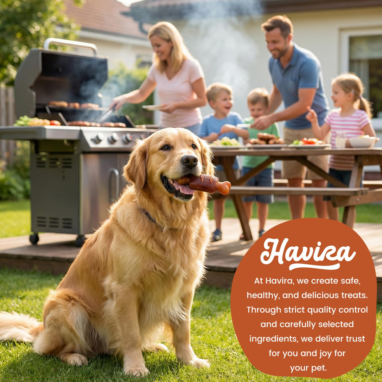 Havira Sans Rawhide, friandise facilement digestible pour chiens.