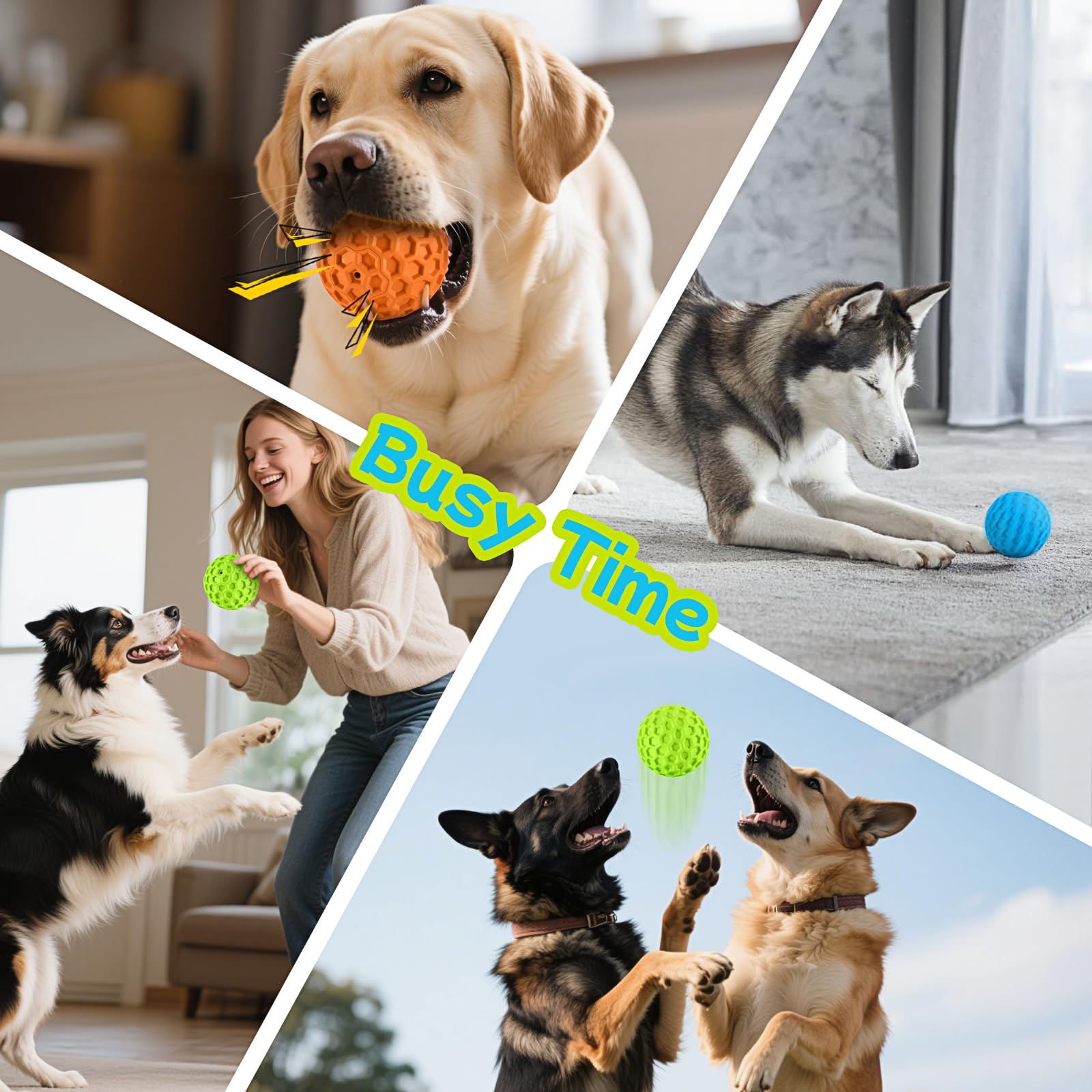 Cadeau havit pour anniversaire ou Noël, parfait pour chiens actifs.