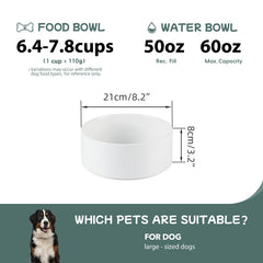 Havniva assiette chien antiderapante en ceramique, stabilite lors des repas