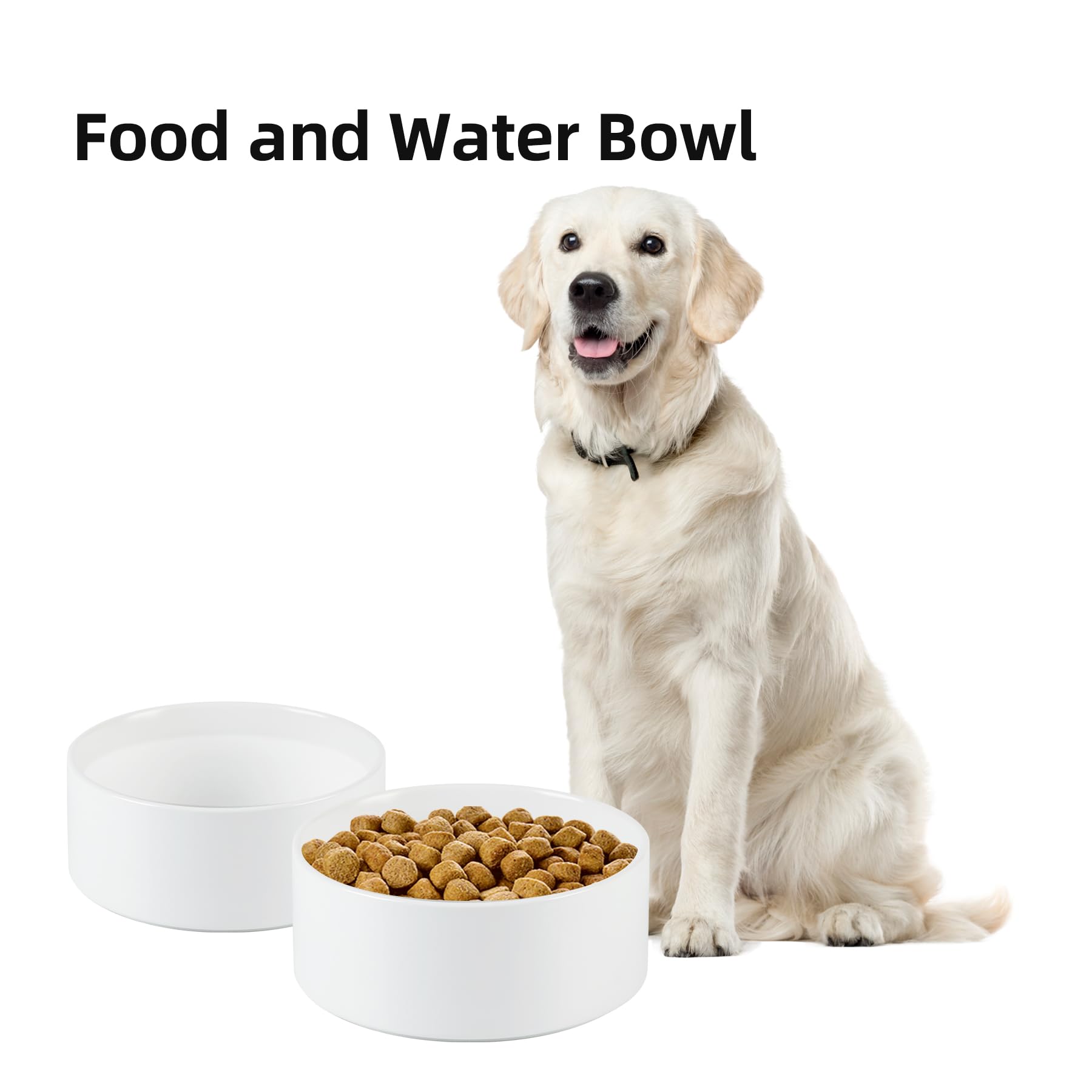 Havniva assiette chien nettoyage facile, bol en ceramique sûr et durable