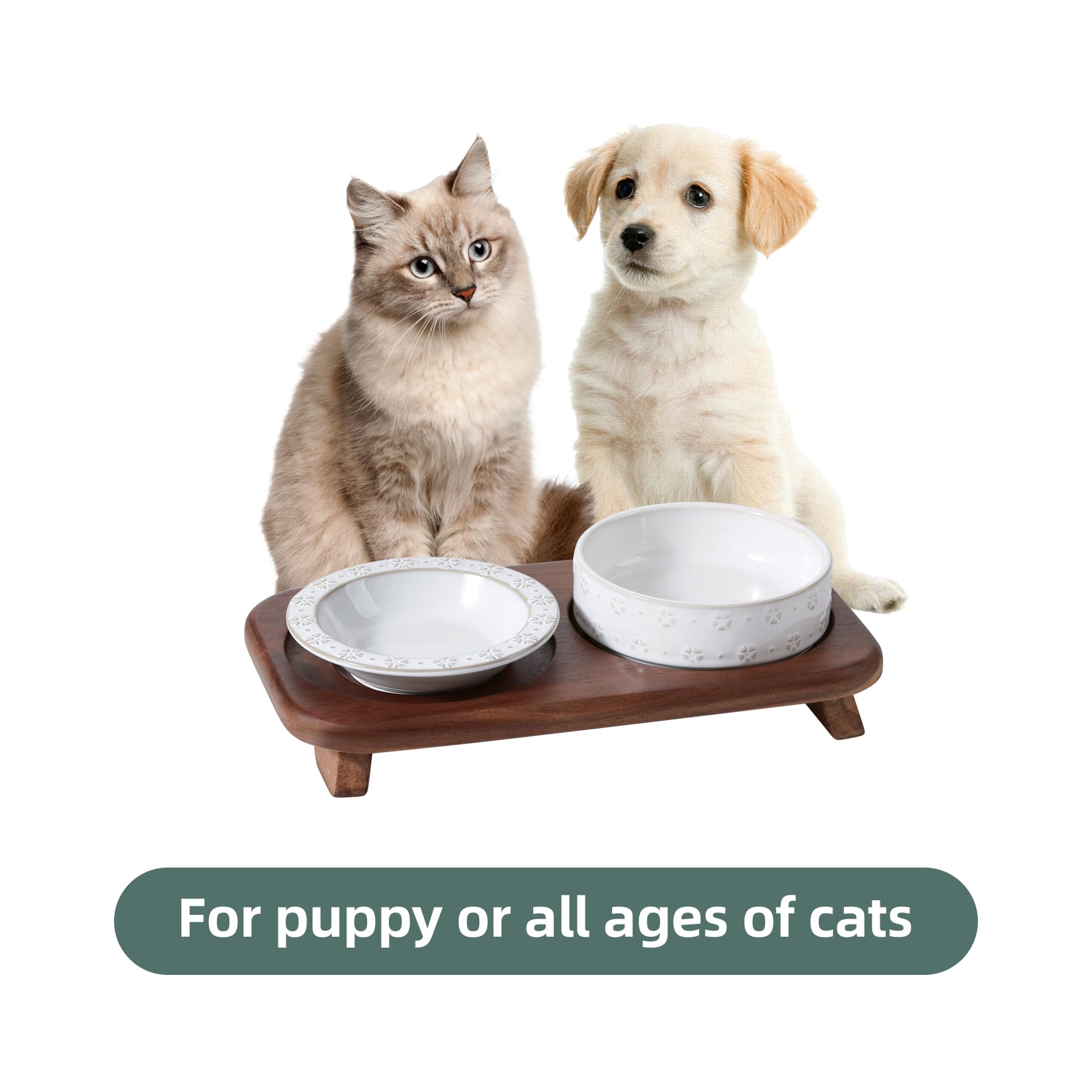 Design élégant et fonctionnel Havniva pour assiette chat s’intégrant au décor.
