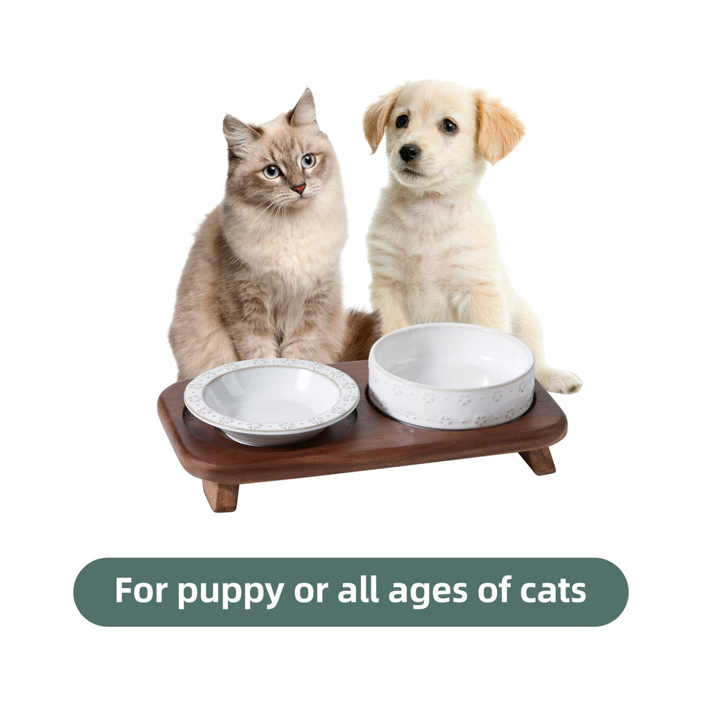 Design élégant et fonctionnel Havniva pour assiette chat s’intégrant au décor.