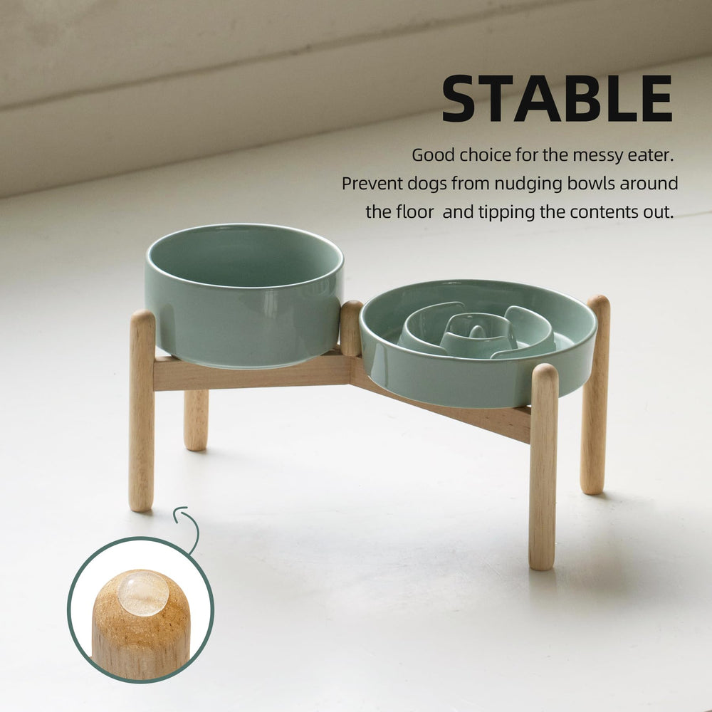 Havniva: ensemble double pour deux chiens, pratique et compact.