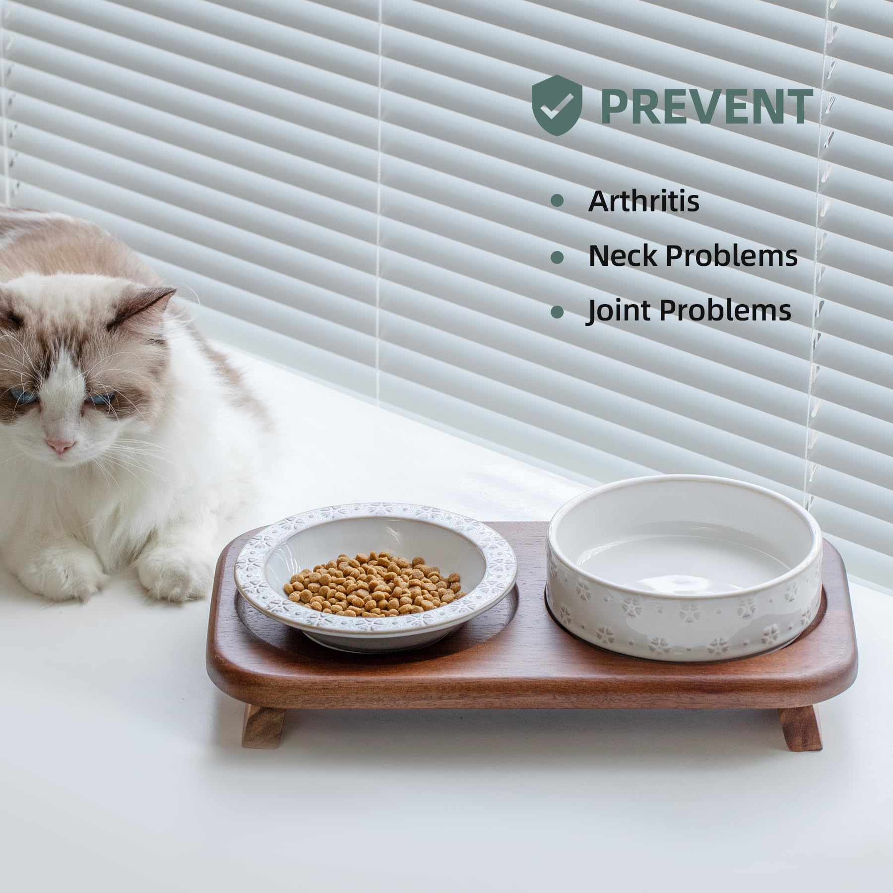 Ensemble surélevé Havniva pour chats et chiots, repas plus confortables.