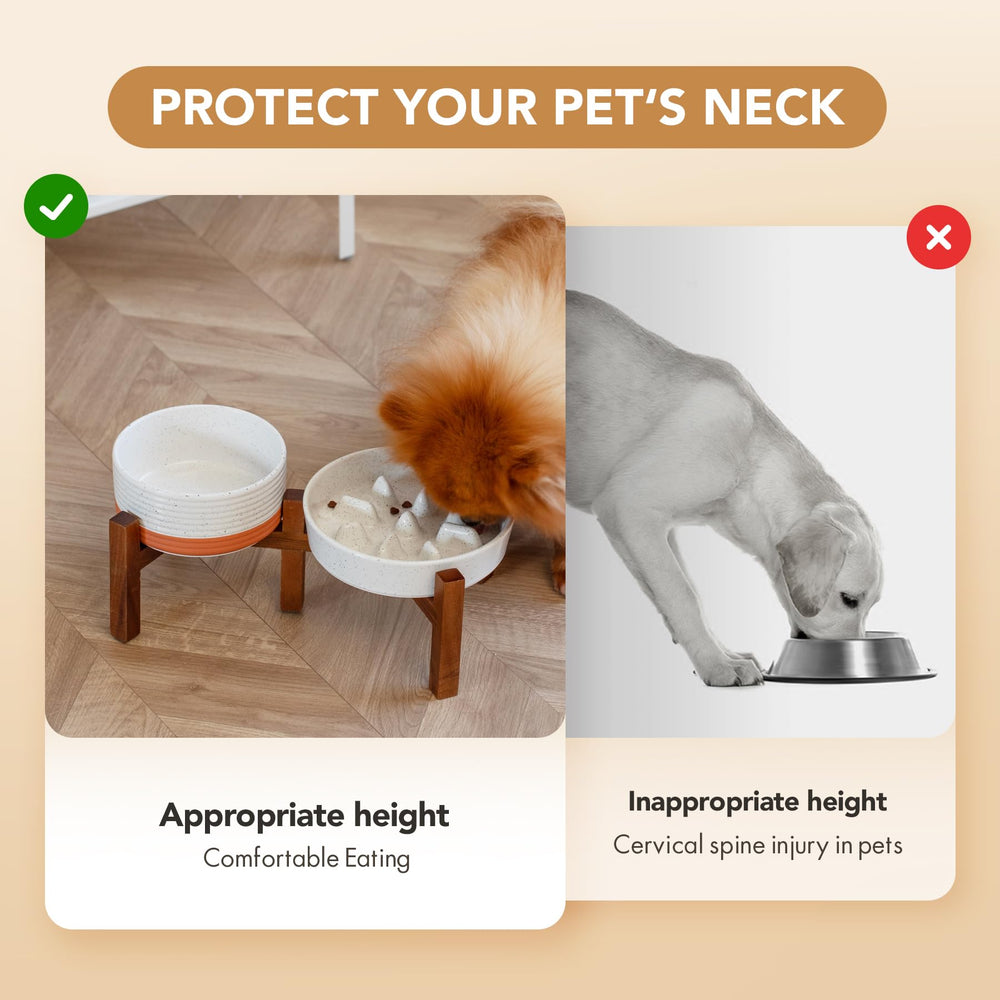 Ensemble pour chiens petits et moyens Havniva ergonomique.