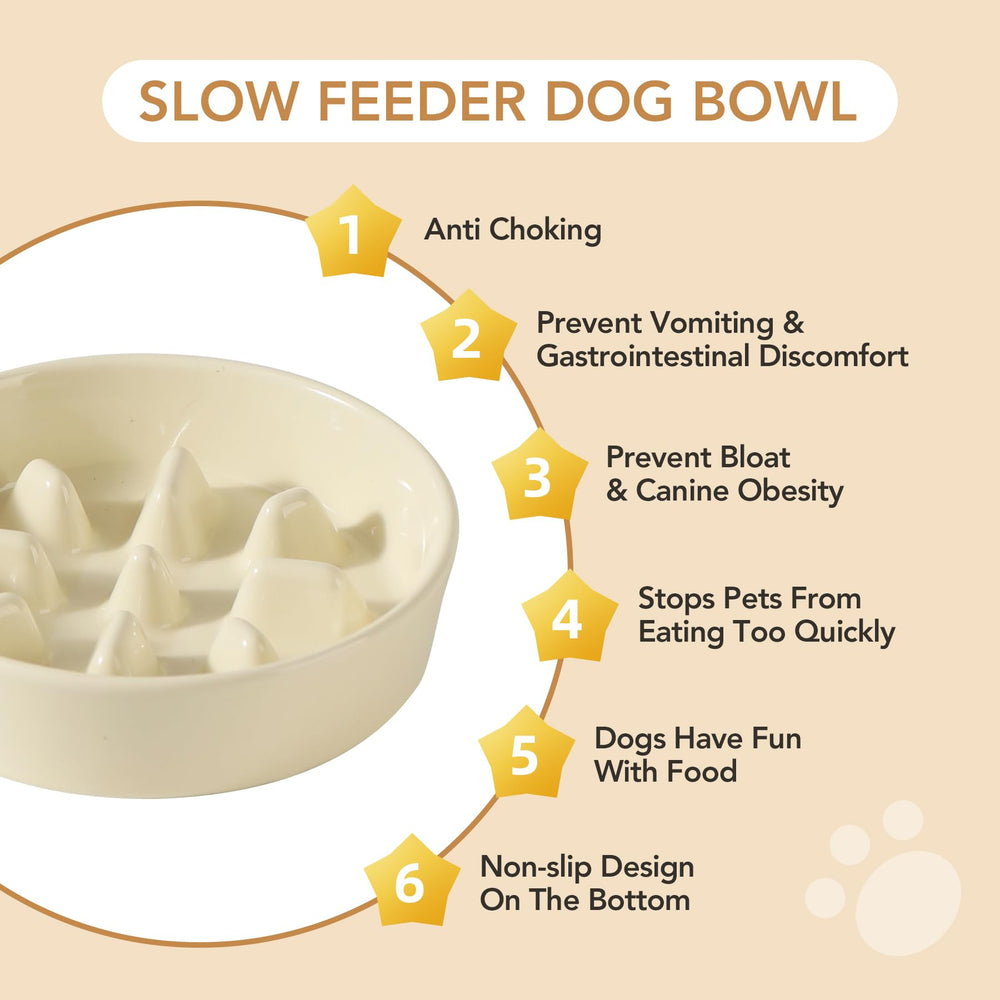 Havniva utilisation quotidienne pour chien avec gamelle surélevée.