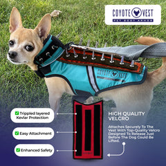 HawkShield Pad couleurs fluorescentes pour visibilité et style lors des sorties.