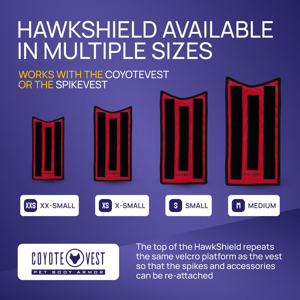 HawkShield Pad protection des talons pour rapaces lors des promenades.