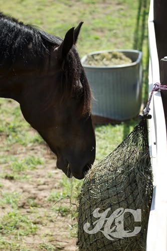 Hay Chix filet robuste aide à maintenir le cheval engagé.