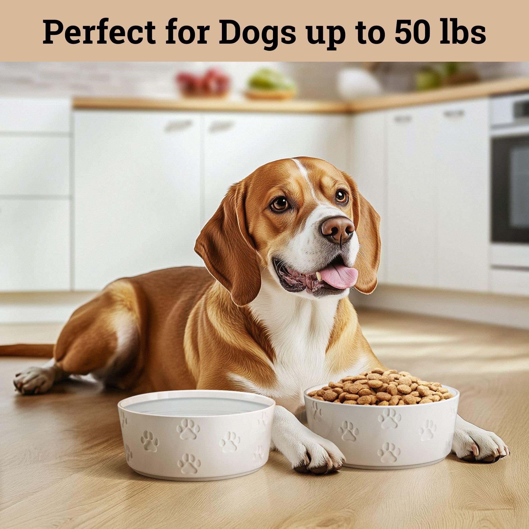 HB Design Co bol chien ceramique décoratif pour la cuisine et l'espace repas