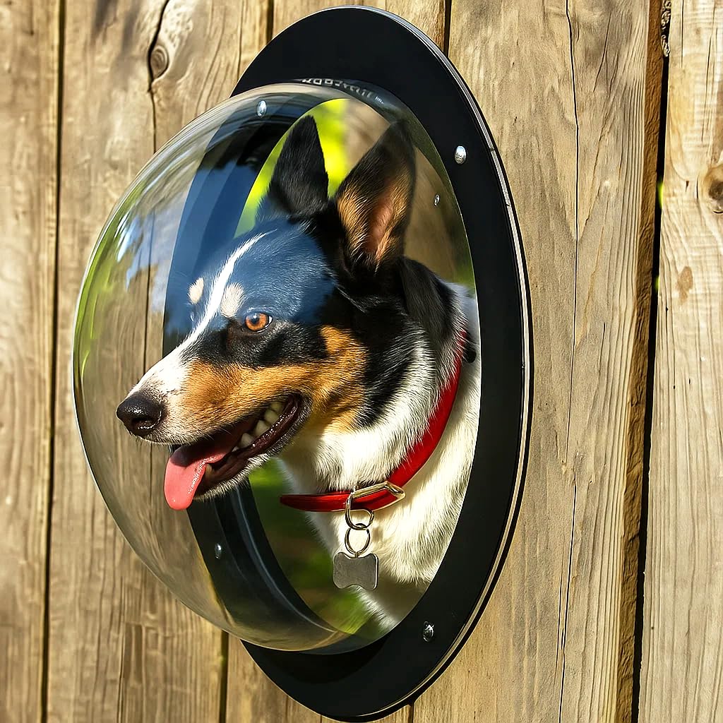 H&B Luxuries dôme acrylique – vue claire pour chien près de la clôture, réduit l’anxiété.