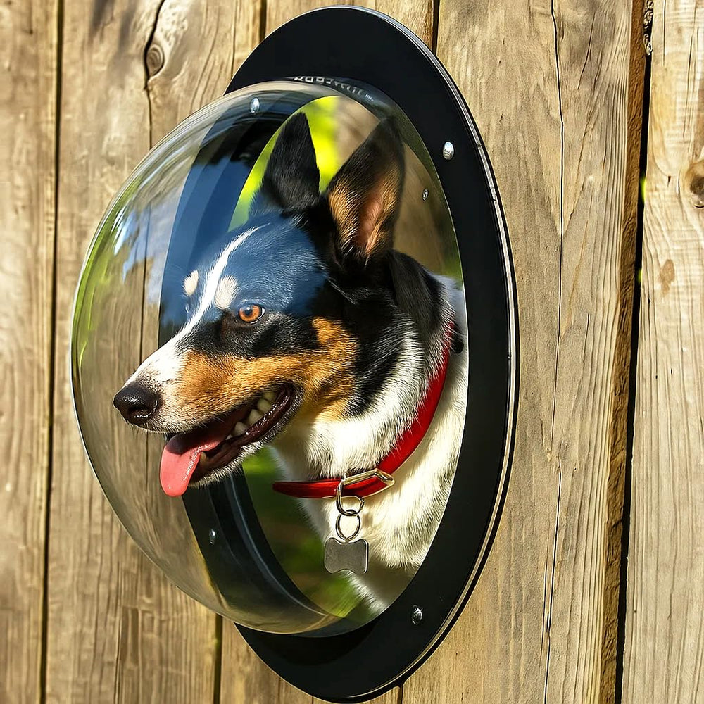 H&B Luxuries dôme acrylique – vue claire pour chien près de la clôture, réduit l’anxiété.