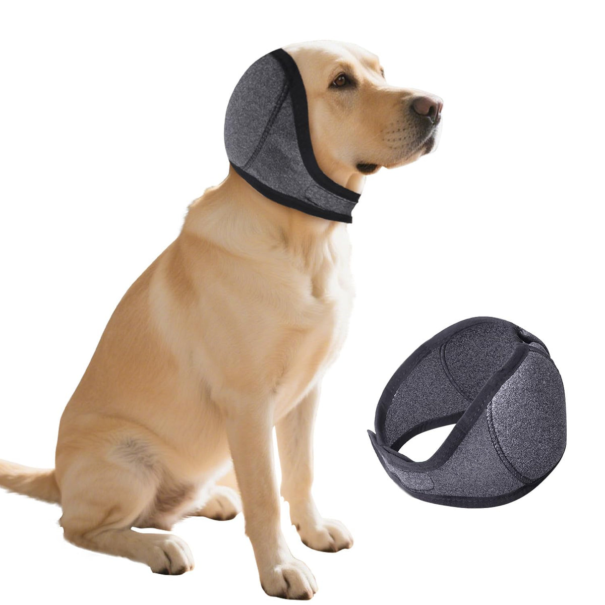 HCCW couvre-oreilles chien-bruit 01: réduction du bruit pour chien.