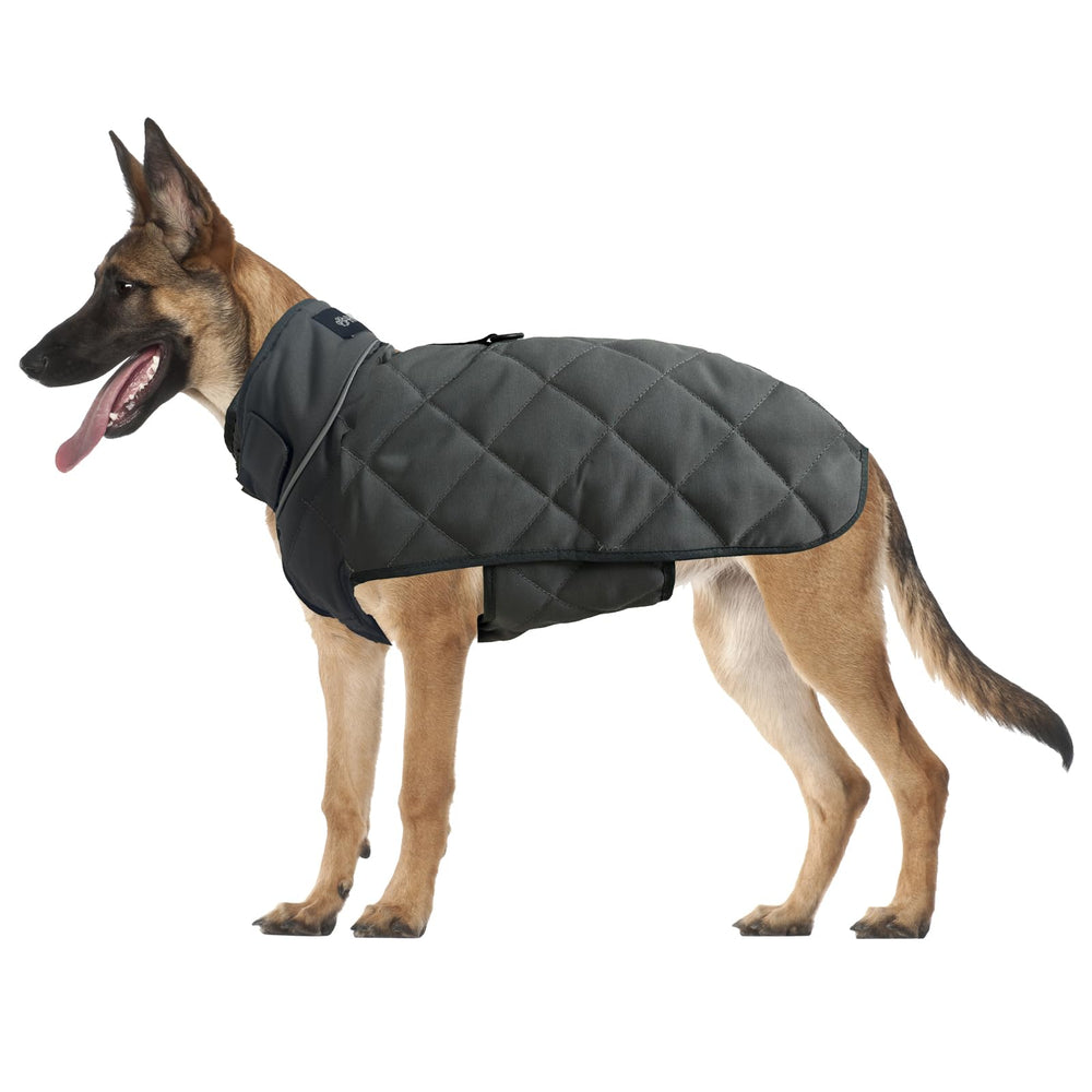 Gilet lesté HCHYEY pour chien, vue avant, confort et stabilité accrus.
