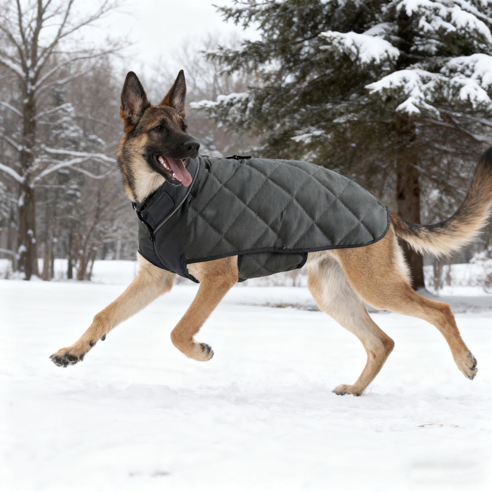Gilet d’entraînement HCHYEY pour chien, amélioration potentielle du cadre d’entraînement.