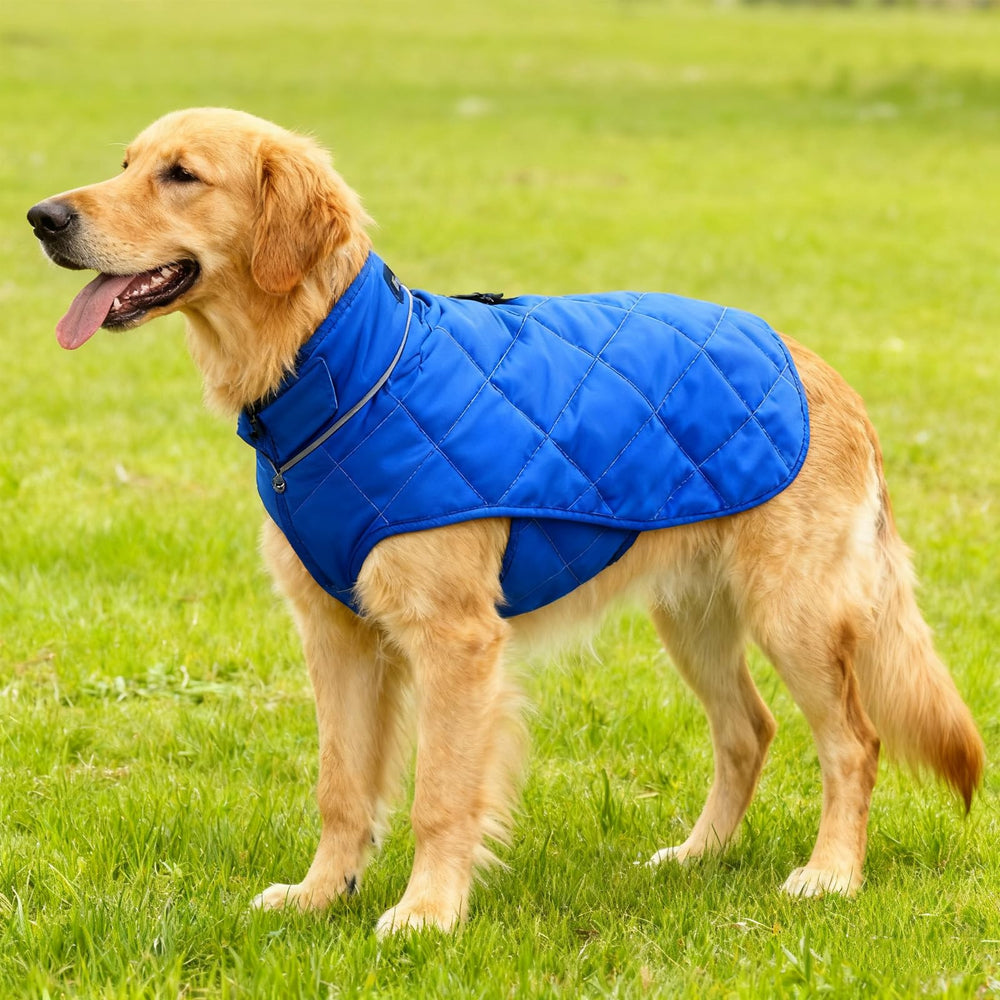 Gilet-poids HCHYEY chien : anneau d’attache pratique pour la laisse.