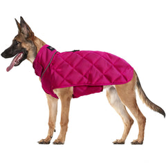 Veste poids HCHYEY pour chien, soutien tactique et calme lors d'excitations.