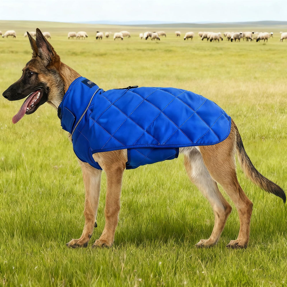 Gilet poids HCHYEY bleu, matières Oxford résistantes et lavables en machine.