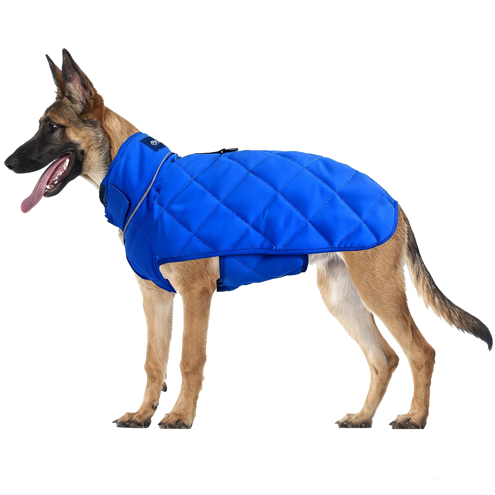 Gilet-poids HCHYEY face du chien, soutien rassurant lors des balades et orages.