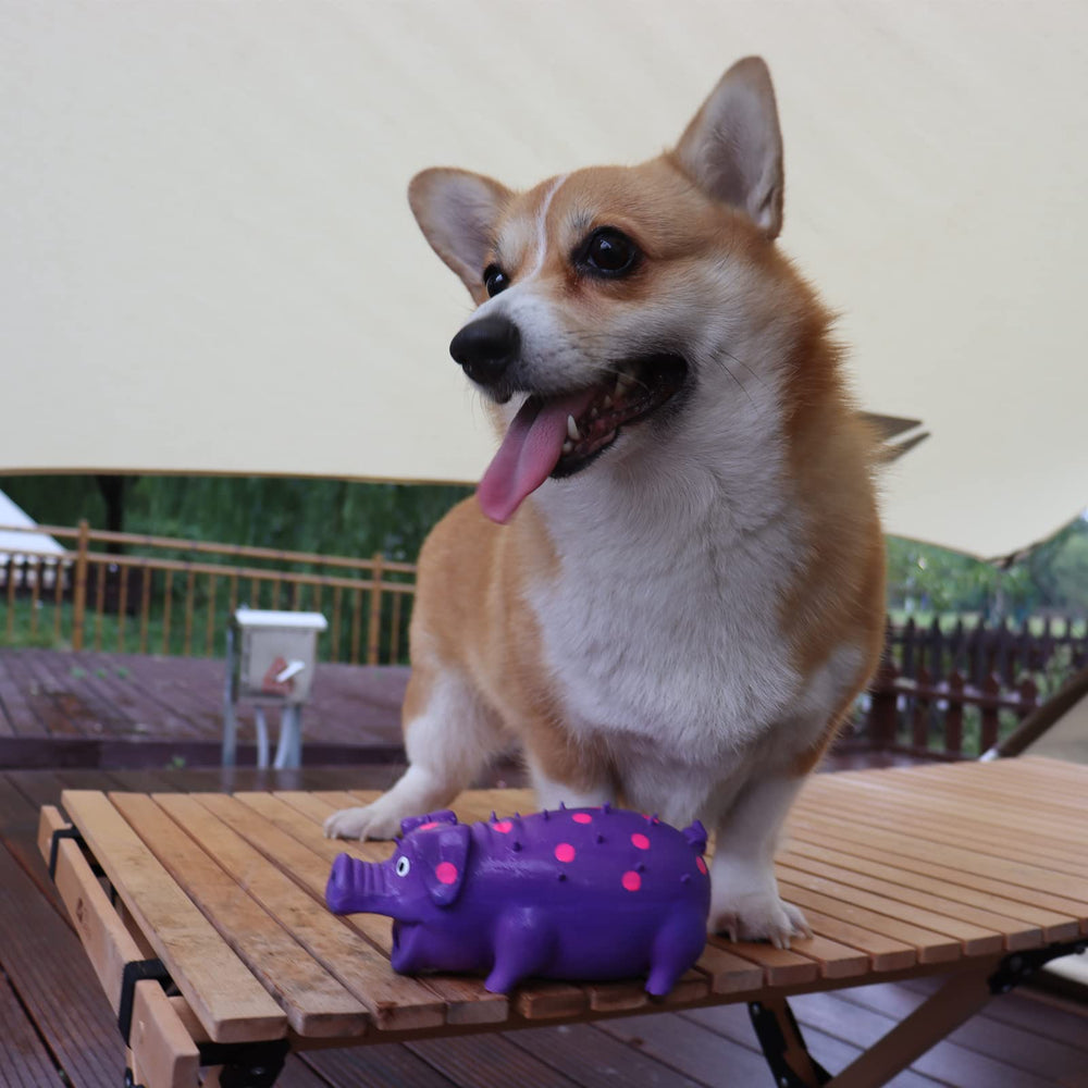 Jouet sécurité-alimentaire bleu, latex naturel et non toxique pour chien.