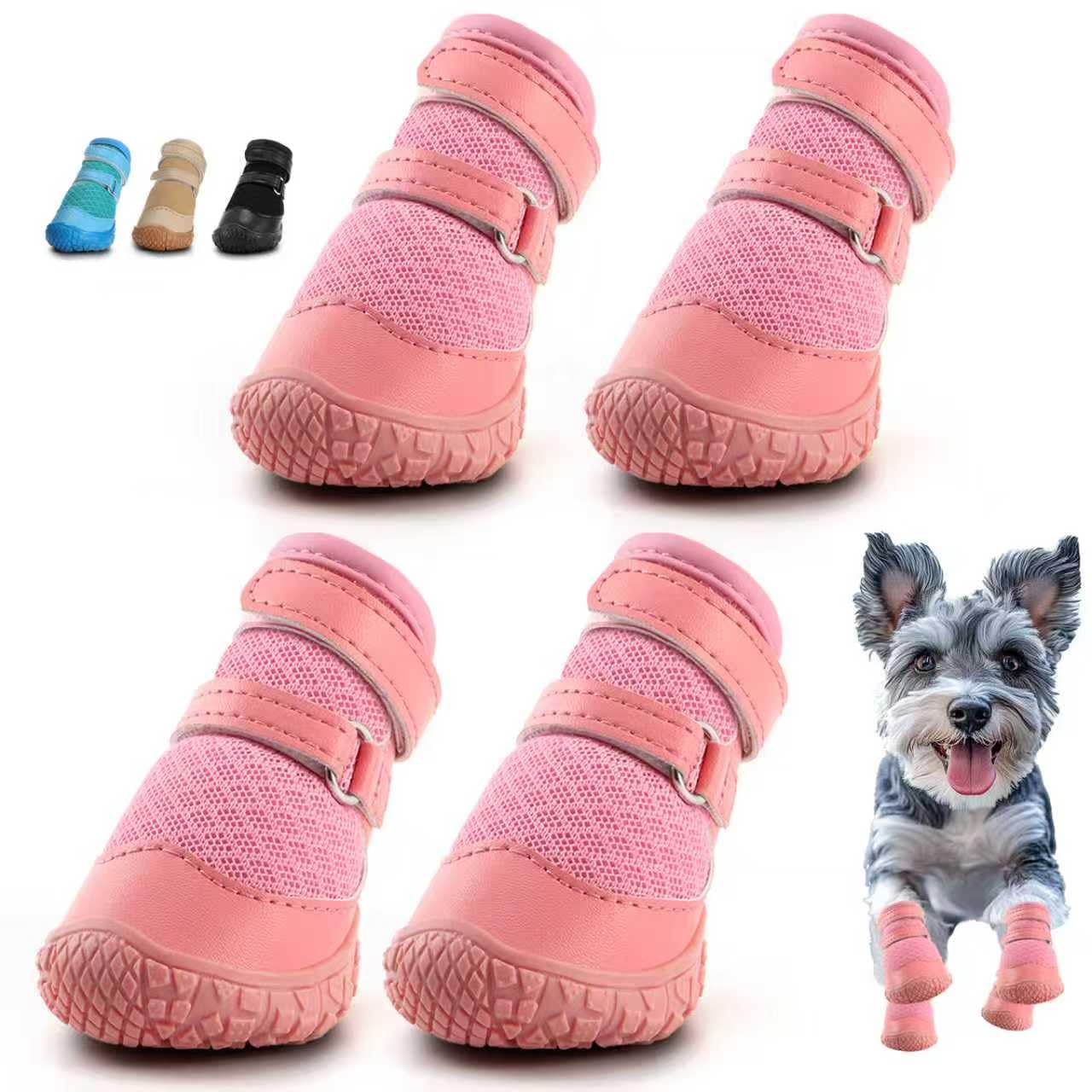Chaussures hcpet pour petit chien protégeant les pattes sur pavé chaud