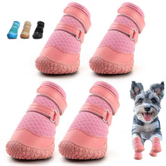 Chaussures hcpet pour petit chien protégeant les pattes sur pavé chaud