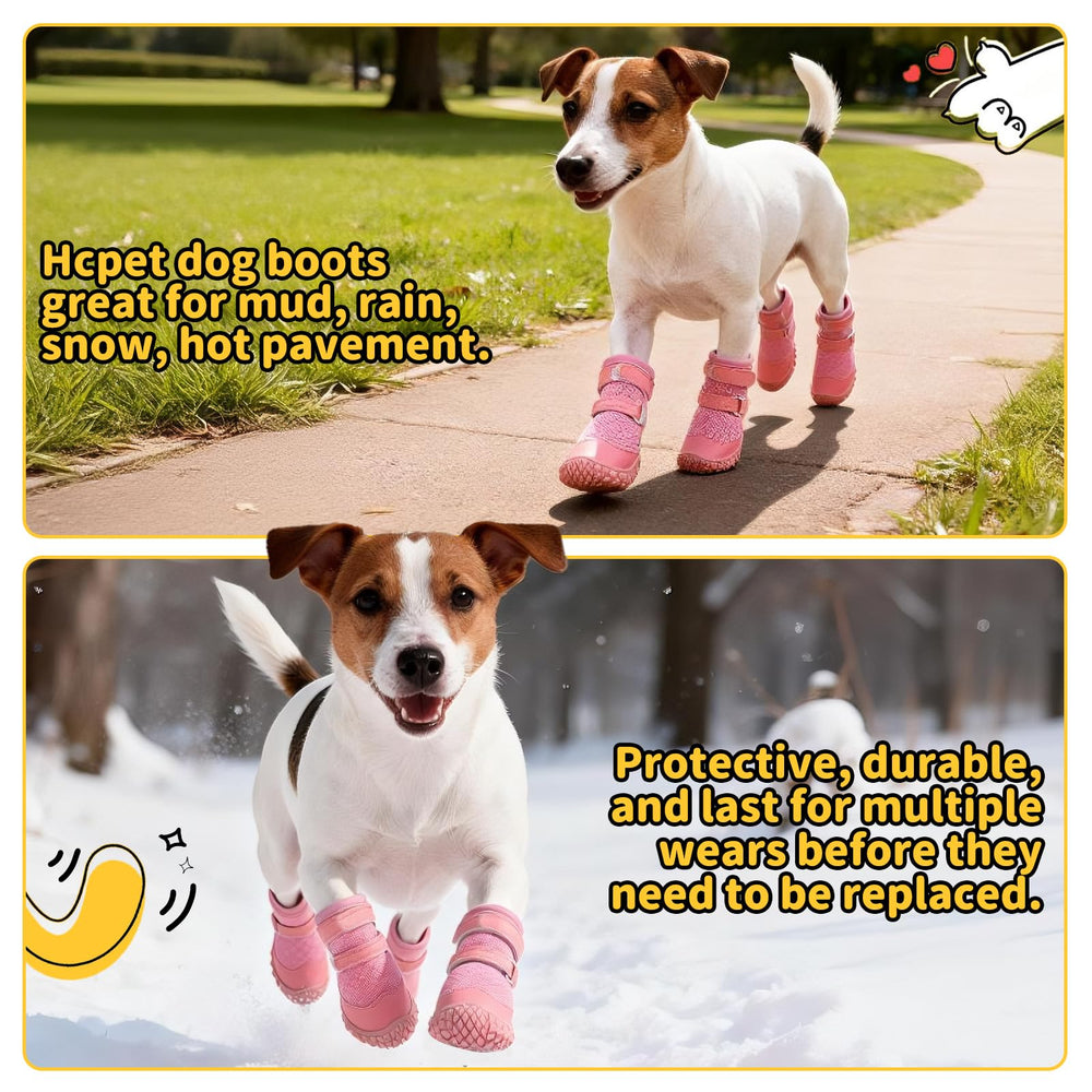Protection des griffes hcpet sur sols en bois et carrelage