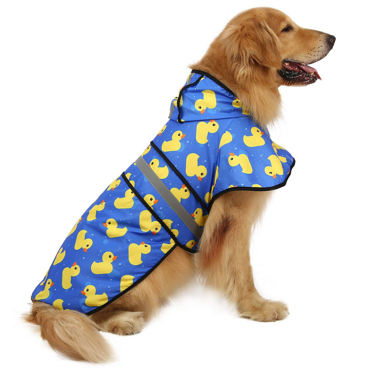 Manteau HDE pour chien imperméable avec capuche réfléchissante.