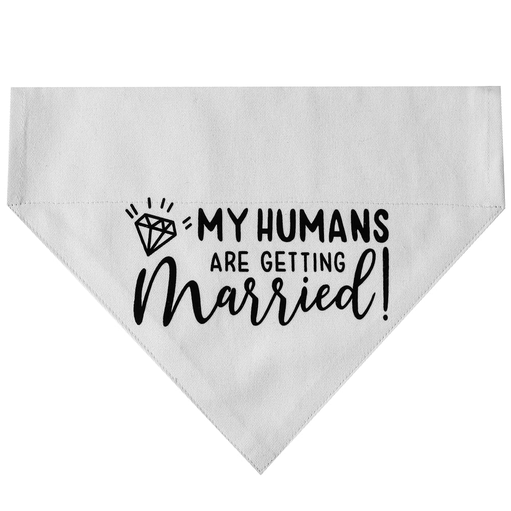 HDGDT bandana mariage chat, parfait pour occasions spéciales et séances photo.