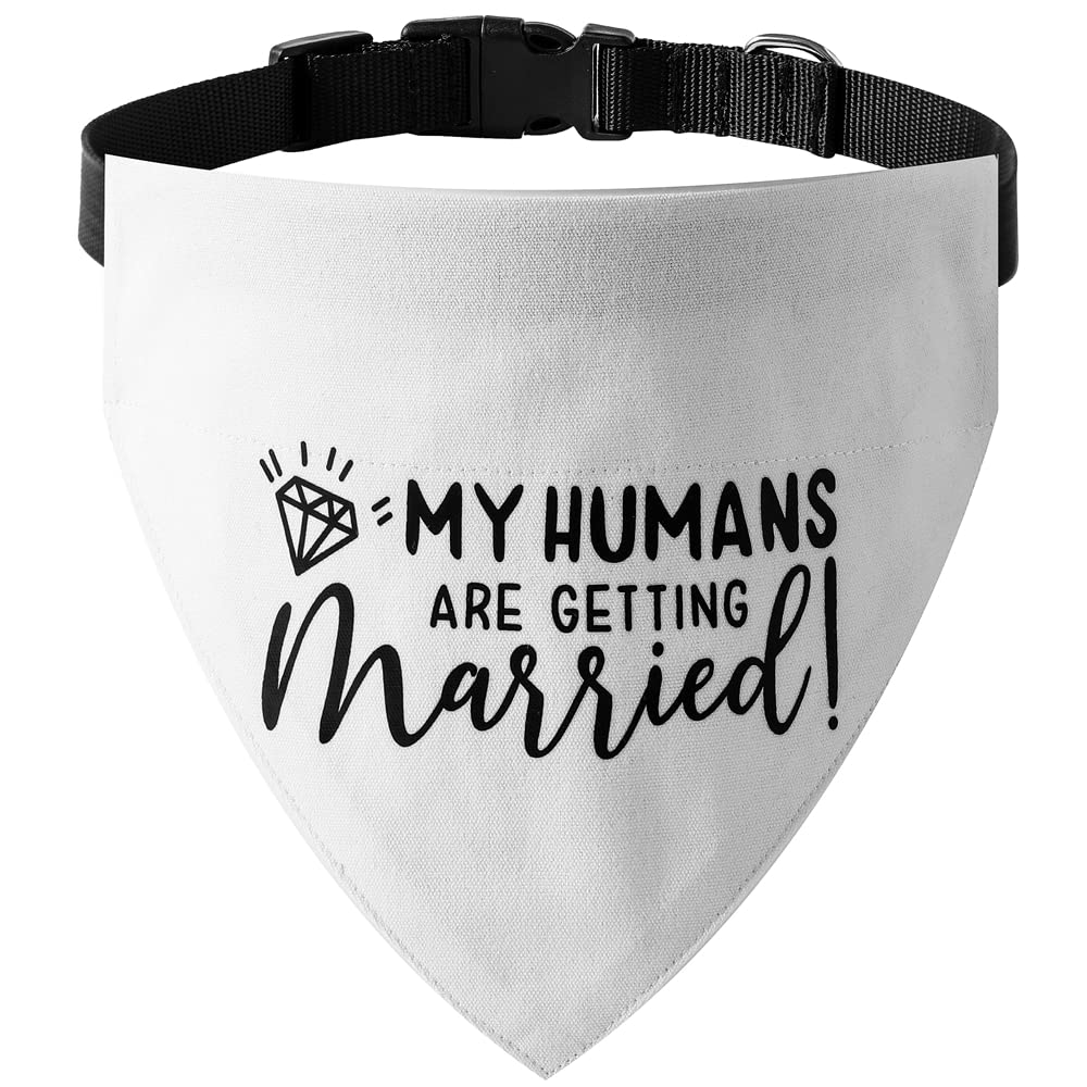 HDGDT bandana mariage chien, accessoire élégant pour photos et balades.
