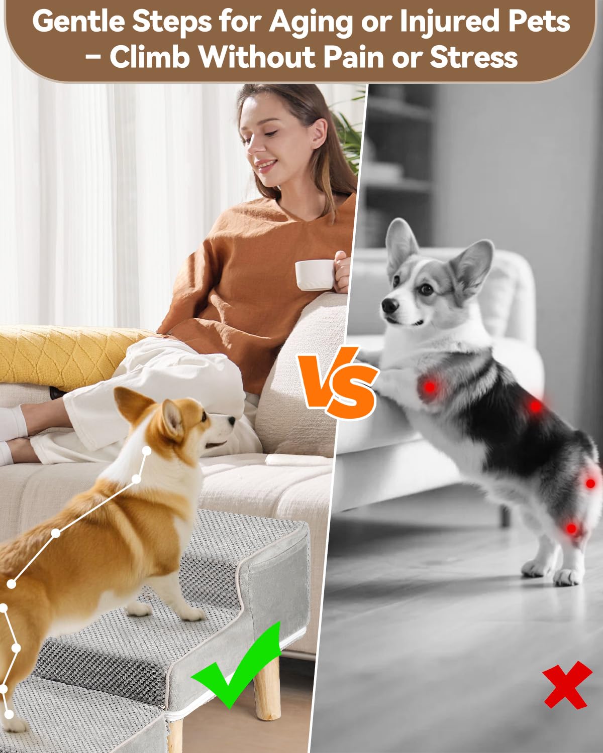Hdnbsp Escalier chien 2-en-1 canape, solution élégante pour monter.