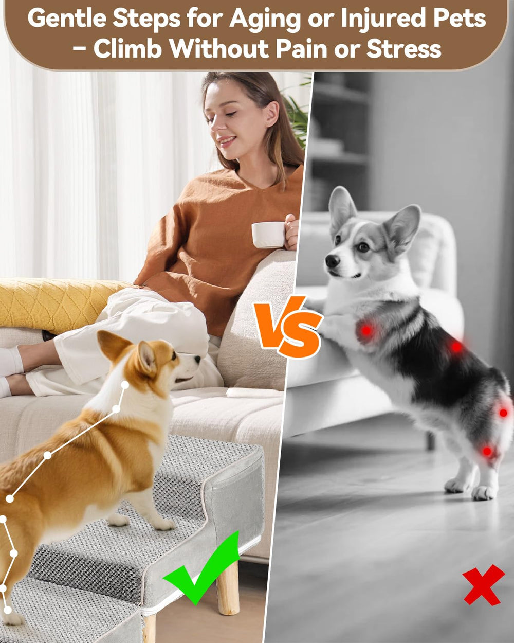 Hdnbsp Escalier chien 2-en-1 canape, solution élégante pour monter.