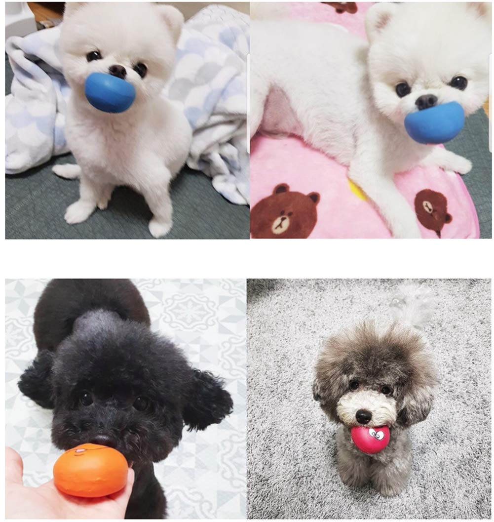 Balle siffante HDSX pour chiens, favorise les courses rapides et le repérage