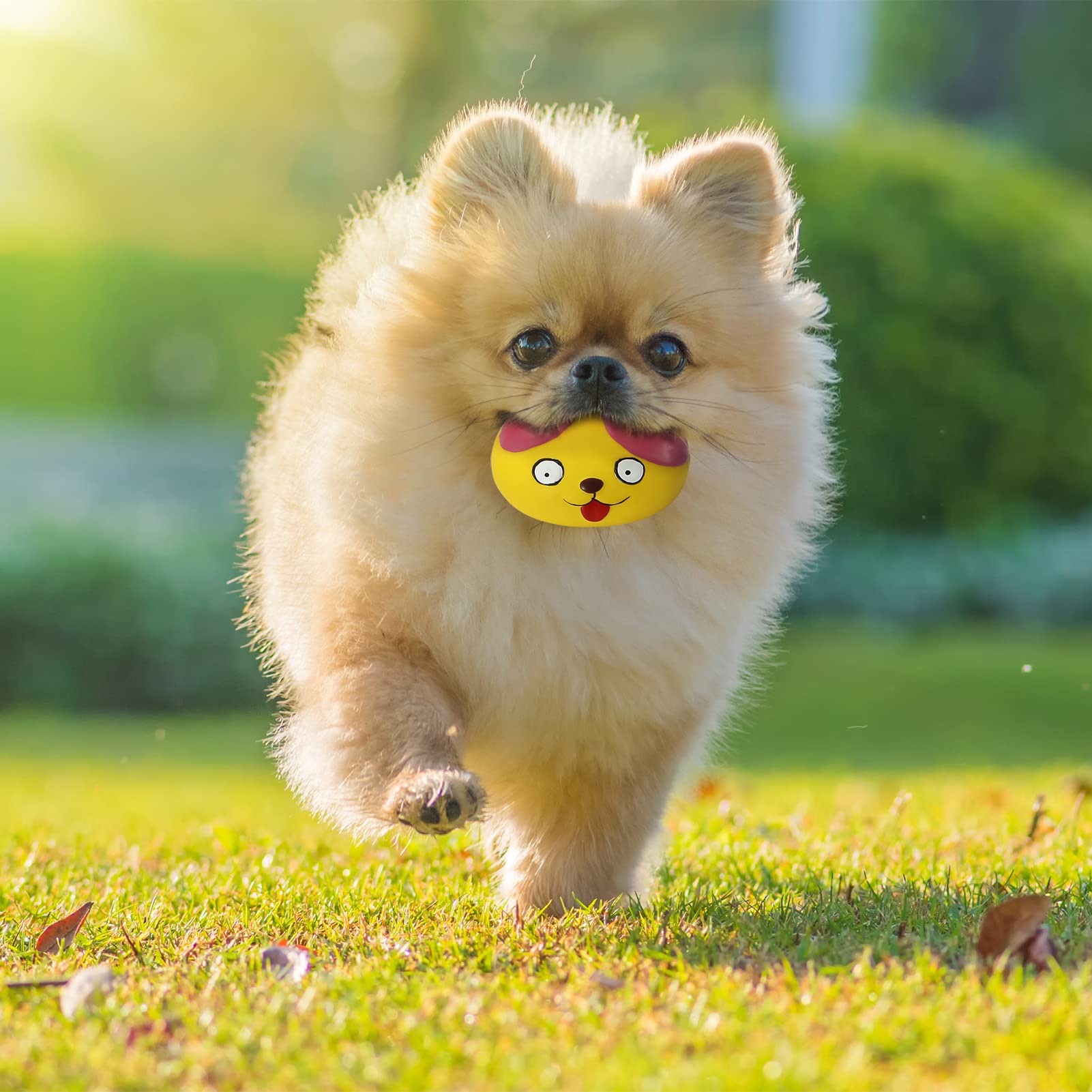Jouet pour chien HDSX: prévient l’ennui et encourage le jeu quotidien.