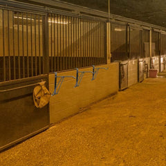 HDYEGY Accessoire transport cheval, libère l'espace sans perçage.