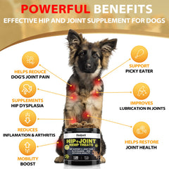 Healpark friandises goût poulet, appréciées des chiens et favorisant le mouvement.