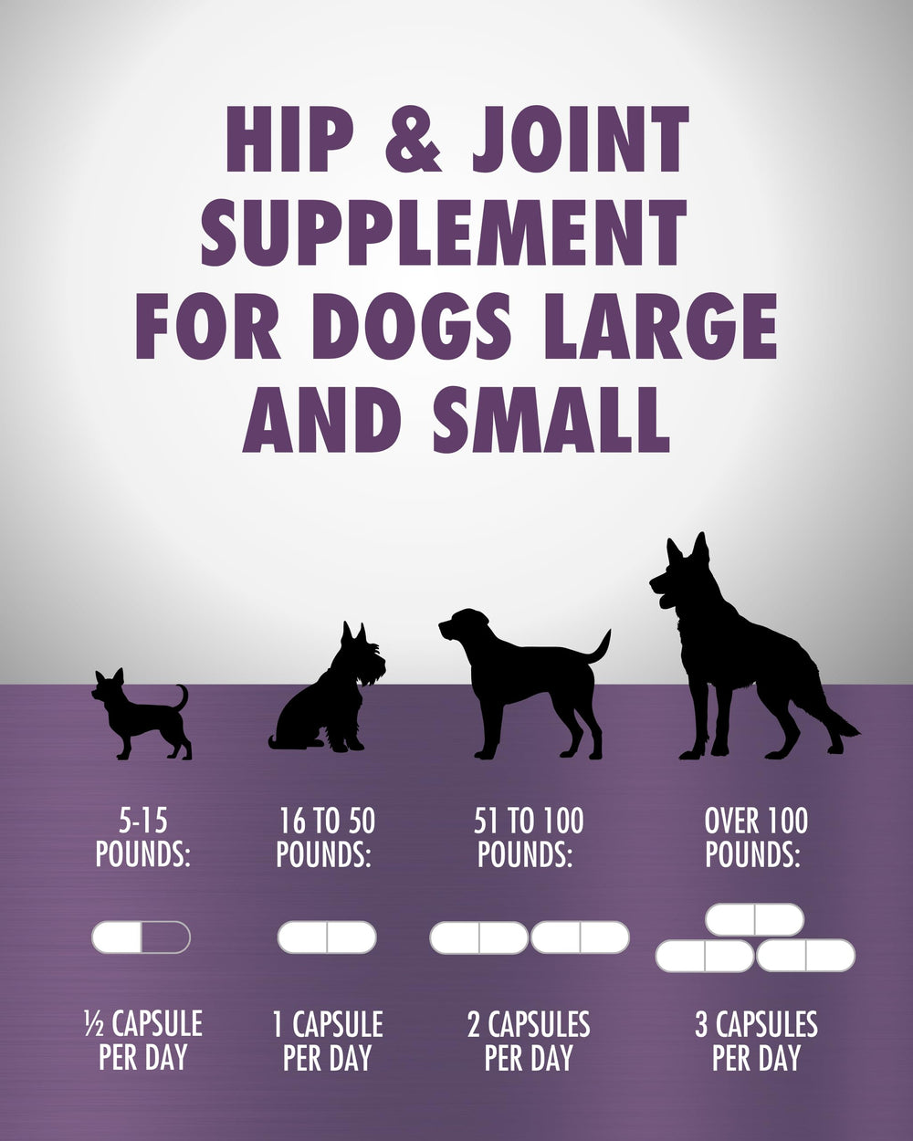 RenuVite 4 Dogs HEALTH DIRECT — chien en mouvement, mobilité retrouvée dans le quotidien.
