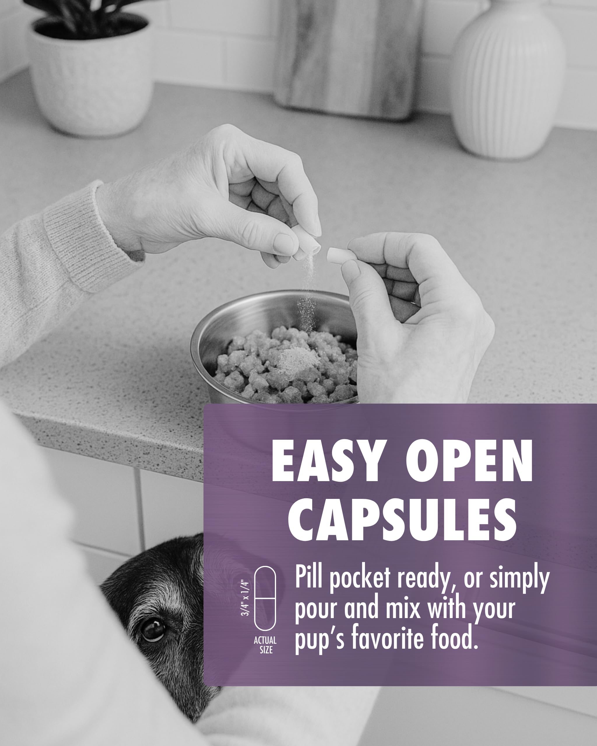 RenuVite 4 Dogs HEALTH DIRECT — poudre à mélanger, soutien potentiel à l'énergie.