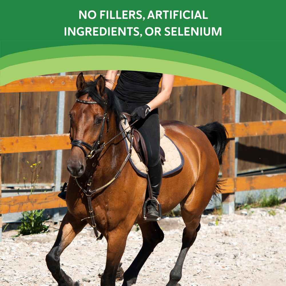Health-E pour chevaux en entraînement: soutien quotidien possible.