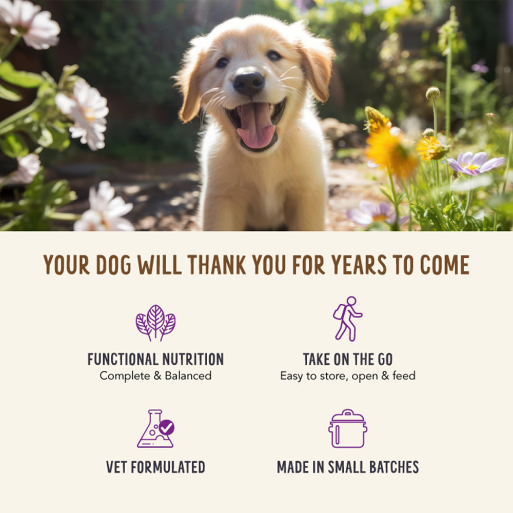 Health Extension Broth-Licious alimentation pratique sans préparation pour chiens occupés.