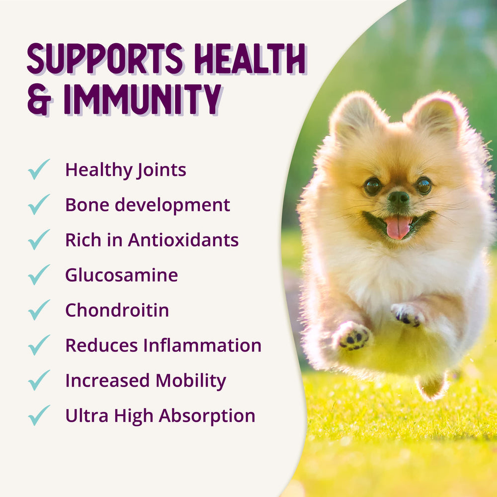 Health Extension routine articulaire pour chiots et chiens seniors.