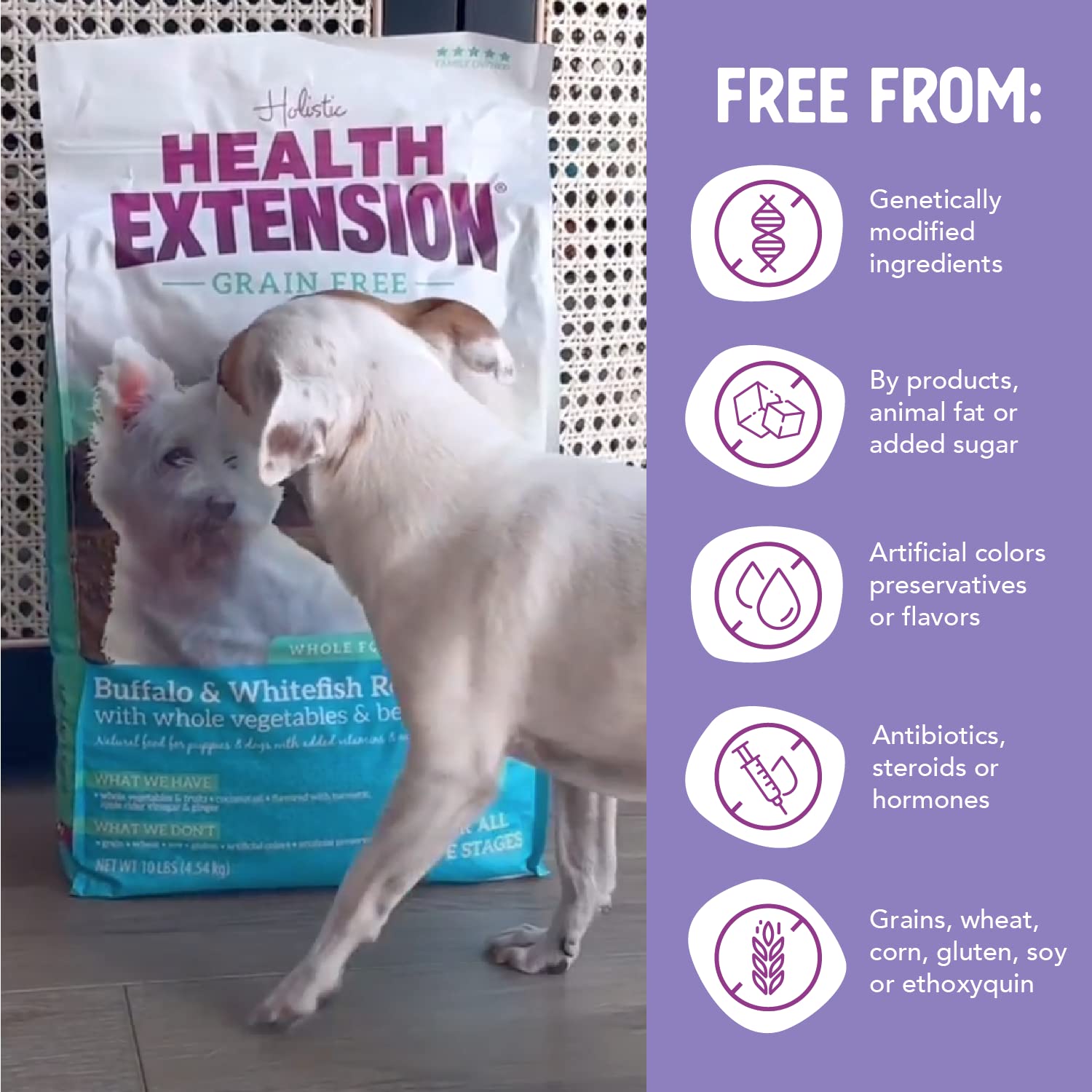 Huile de coco Health Extension pour pelage sain et brillance naturelle.