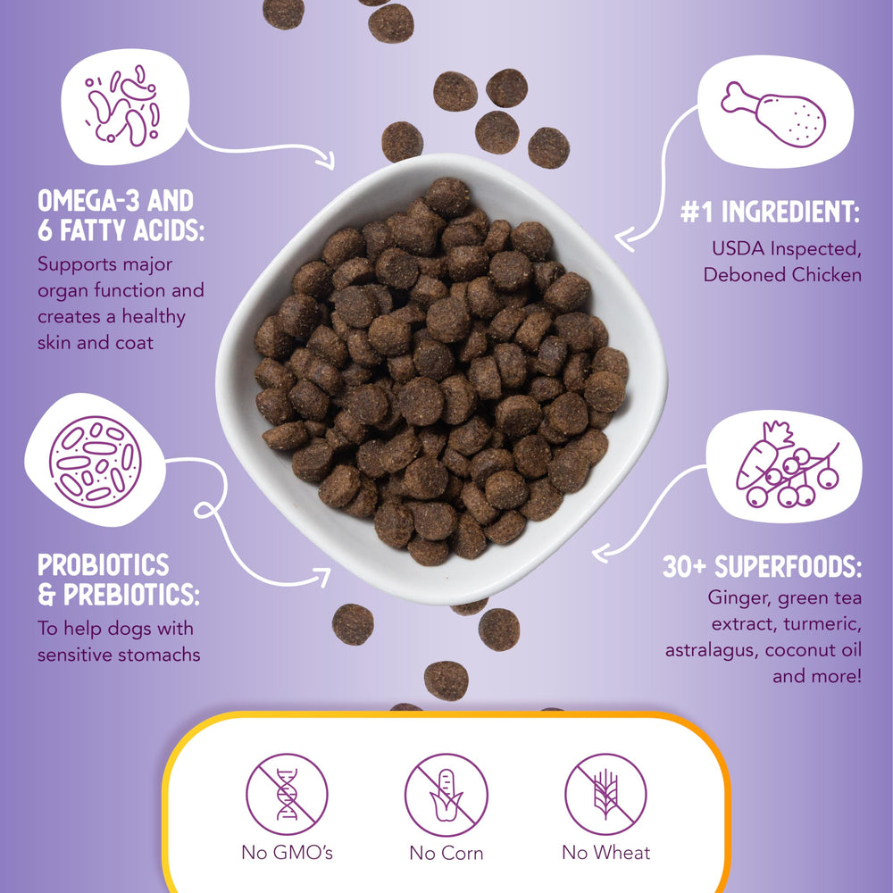 Health Extension Lite: bol-nourriture-chien, repas équilibré favorisant la satiété.