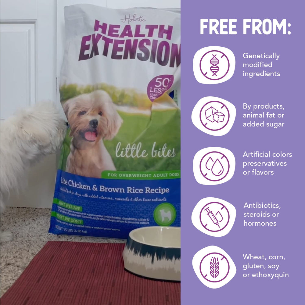Health Extension Little Bites Lite, plus de 30 superaliments pour l’immunité naturelle.