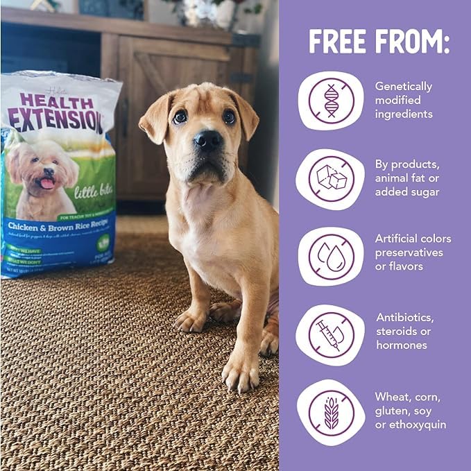 Health Extension Little Bites intègre probiotiques et prébiotiques pour petits chiens.