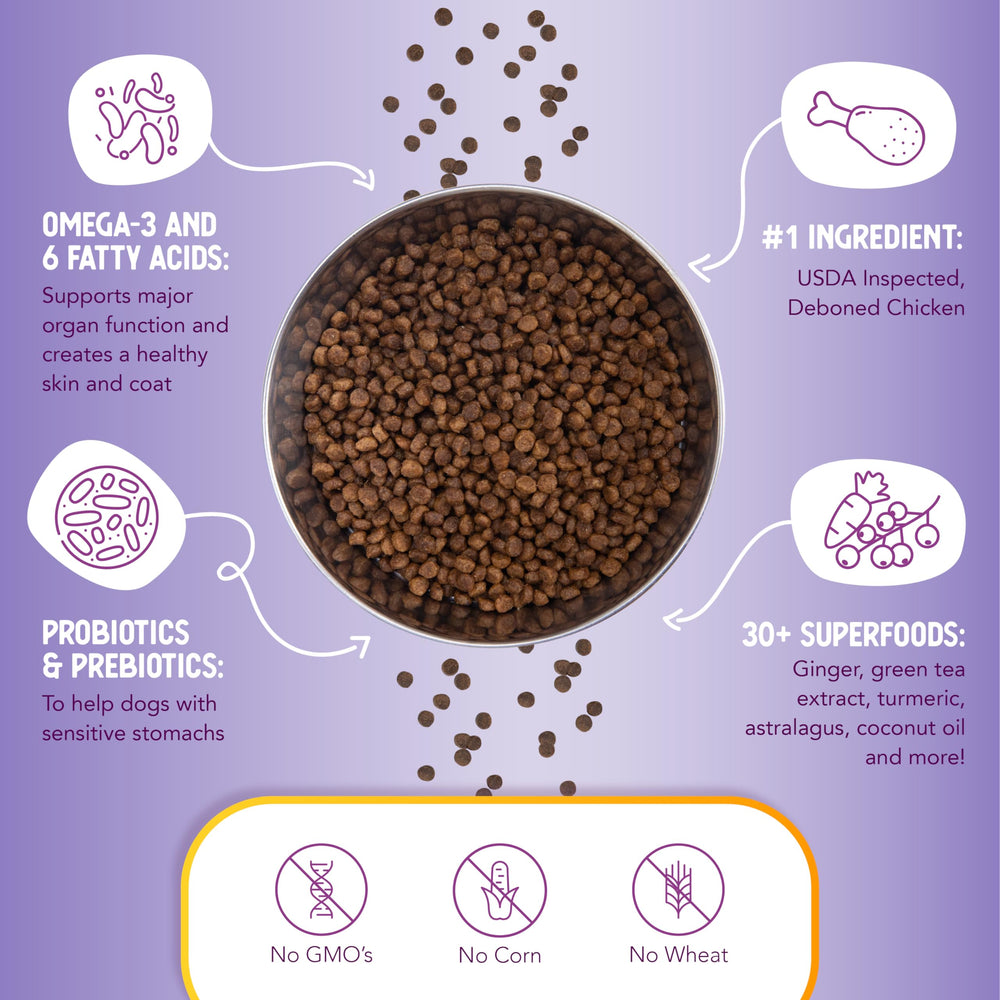Health Extension Petites bouchées, huile de coco et lin, pour peau et pelage éclatants