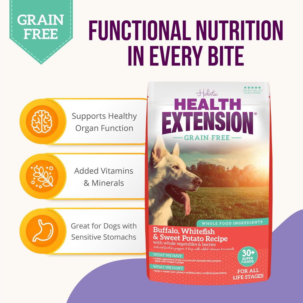 Health Extension probiotiques et prébiotiques pour une digestion équilibrée.