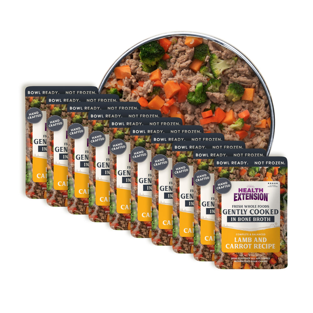 Health Extension sachet agneau carotte : repas pratique et savoureux pour chien