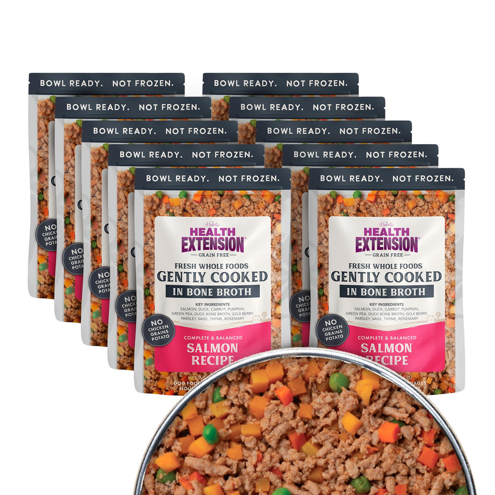 Health Extension saumon — sachet prêt à servir avec goût frais pour repas rapide